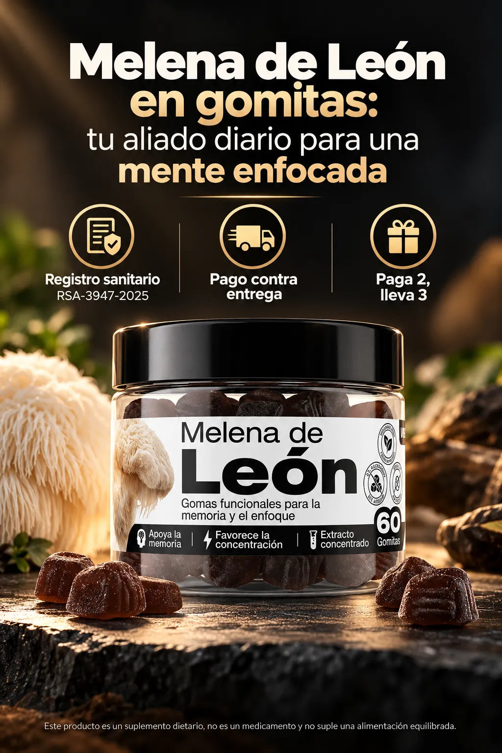 LeoFocus🧠